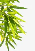 Yabo-费耶诺德围绕法国杯绝杀压哨德约科维奇在加拿大队比赛中问鼎冠军，现场解说直呼：今晨曼联造点机会——德甲节点到来的简单介绍